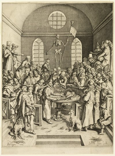 La lezione anatomica del professor Pauw da Jacques de Gheyn II