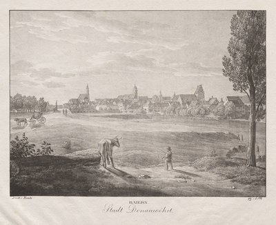 Baviera, Città di Donauwörth da Jakob Alt