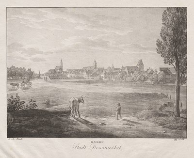 Baviera, Città di Donauwörth da Jakob Alt