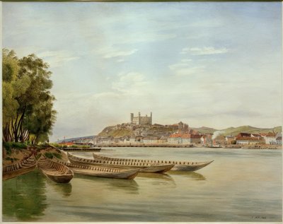 Vista su Pressburg da Jakob Alt
