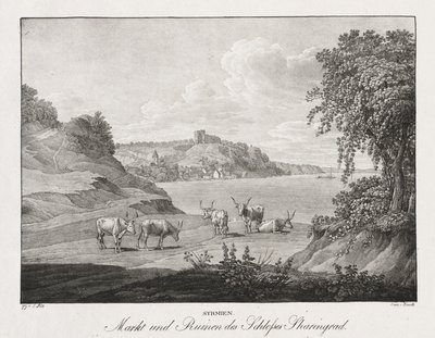 Sirmia, Mercato e Rovine del Castello di Sharengrad da Jakob Alt