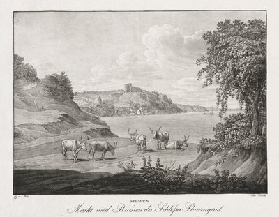 Syrmien, mercato e rovine del castello di Sharengrad da Jakob Alt