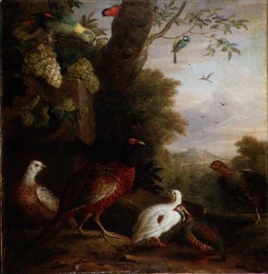Uccelli in un Paesaggio da Jakob Bogdani or Bogdany