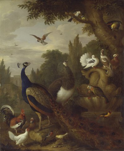 Pavone, pavoncella, pappagalli, canarino e altri uccelli in un parco, c.1708-10 da Jakob Bogdani or Bogdany