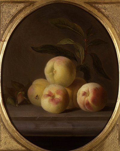 Natura morta di frutta con una mosca da Jakob Bogdani or Bogdany