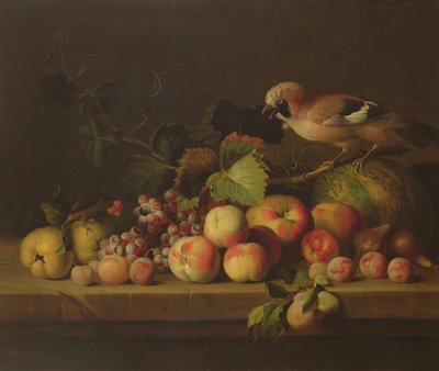 Natura morta con frutta, una ghiandaia e un pappagallo da Jakob Bogdani or Bogdany