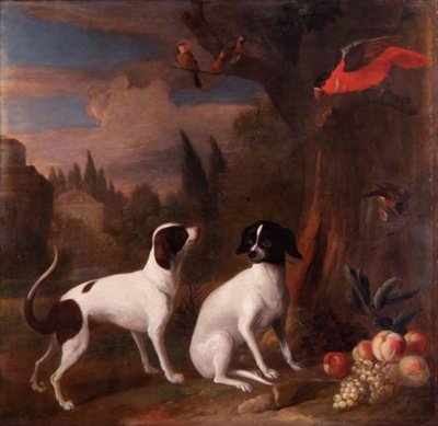 Due cani in un paesaggio da Jakob Bogdani or Bogdany