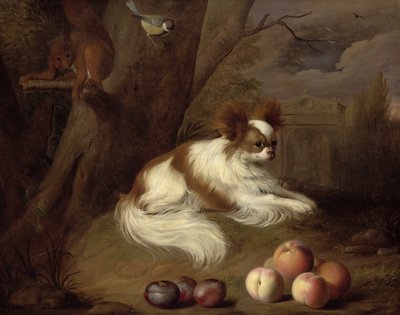 Immagine sconosciuta da Jakob Bogdani or Bogdany