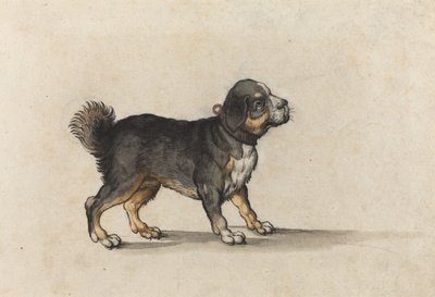 Un Mastino con un Collare Decorato in Oro da Jakob Walther