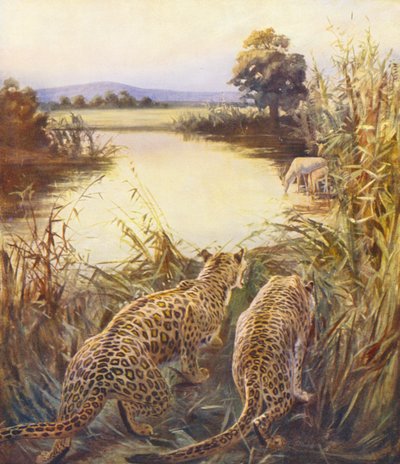 Terra Santa: Leopardi in "L