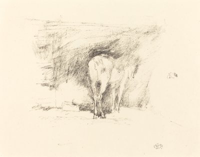 Studio di un cavallo, 1895 da James Abbott McNeill Whistler