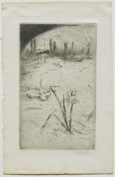 Cigno e iris, 1883 da James Abbott McNeill Whistler