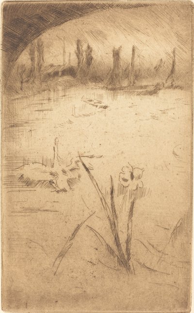 Cigno e iris, pubblicato 1883 da James Abbott McNeill Whistler