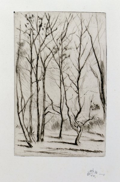 Il bosco della diga da James Abbott McNeill Whistler