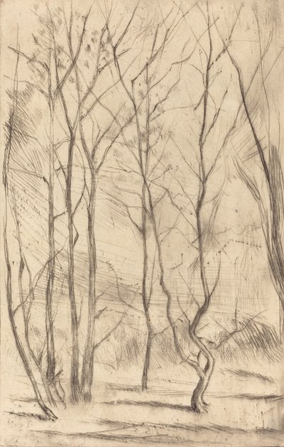 Il Bosco della Diga da James Abbott McNeill Whistler