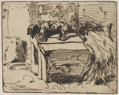 Il cane sulla cuccia, 1858 (incisione su carta) da James Abbott McNeill Whistler