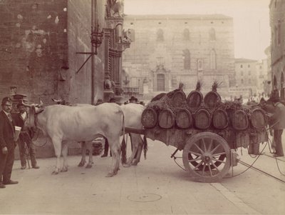 Carro con buoi, Perugia, 1880 da James Anderson
