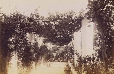 Giardino - Capri da James Anderson