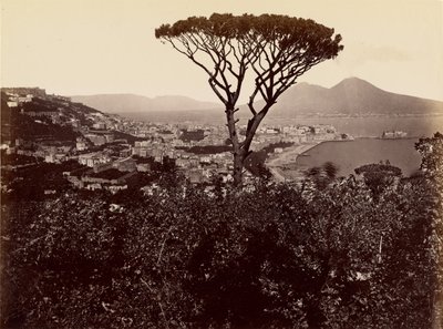 Panorama di Napoli da James Anderson