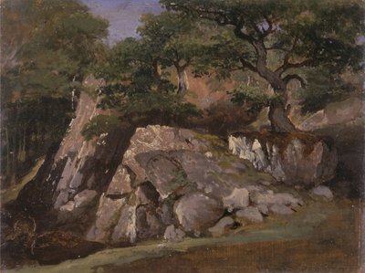 Veduta della Valle delle Rocce vicino a Mittlach (Alsazia) da James Arthur OConnor