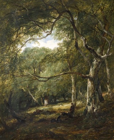 Figure nel bosco da James B. Dalziel