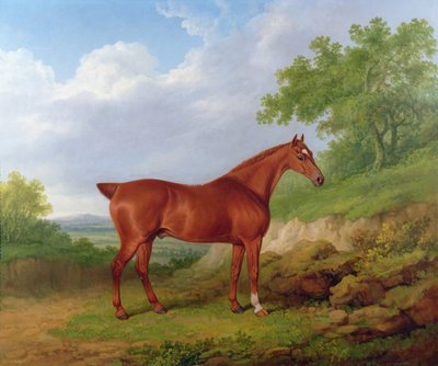 Cacciatore di castagne in un paesaggio da James Barenger