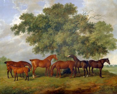 The Theobald Stud da James Barenger