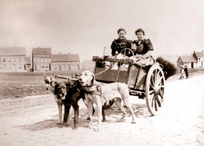 Cani che tirano donne su un carro, Anversa, 1898 da James Batkin