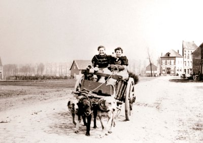 Cani che tirano donne su un carro, Anversa da James Batkin