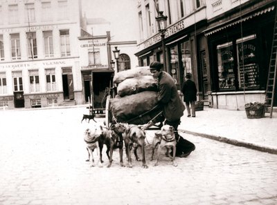 Uomo con carrozza per cani, Anversa, 1898 da James Batkin