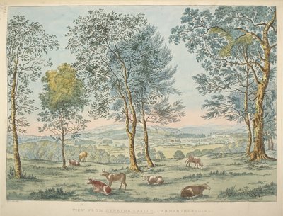 Vista dal Castello di Dynevor, Carmarthen da James Bretherton