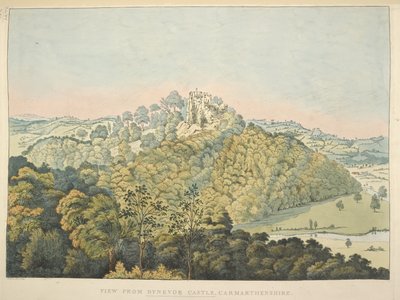 Vista dal Castello di Dynevor, con vista sul fiume Towy e Golden Grove da James Bretherton