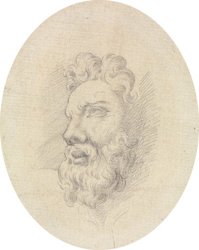 Testa di un uomo barbuto da James Bruce