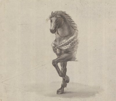 Studio del fronte di un cavallo da James Bruce
