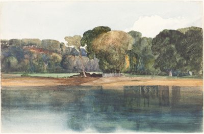 Paesaggio con alberi e acqua da James Bulwer