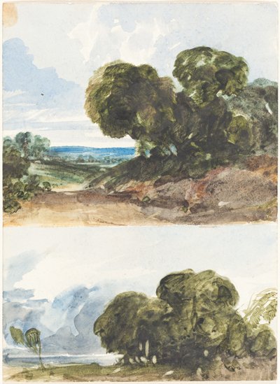 Due schizzi di alberi da James Bulwer