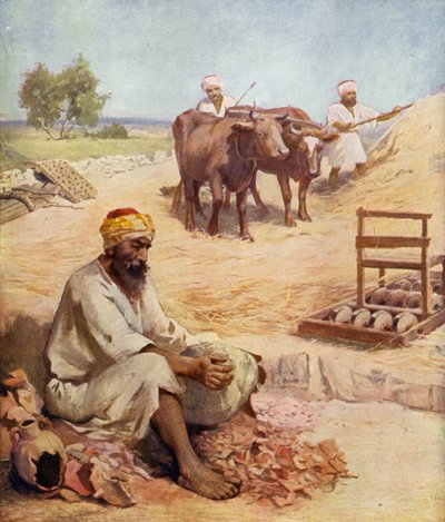 Scene dell