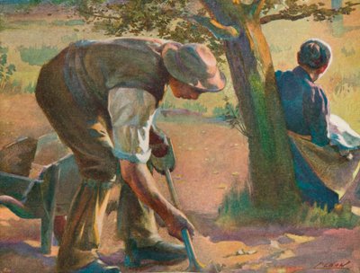 Luce del sole da James Clark