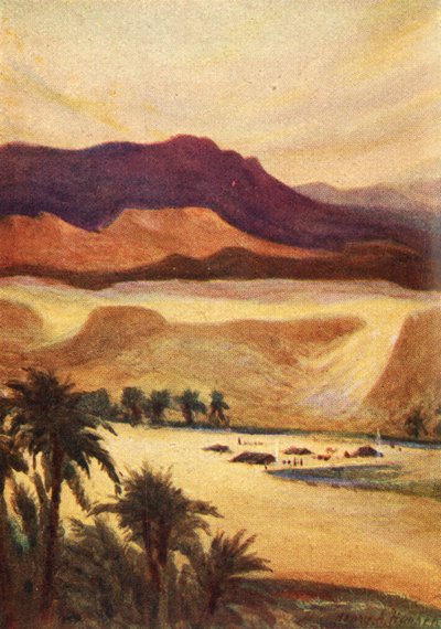 Un campo palestinese a Elim - Ebr. xiii. 11 da James Clark and Henry A Harper