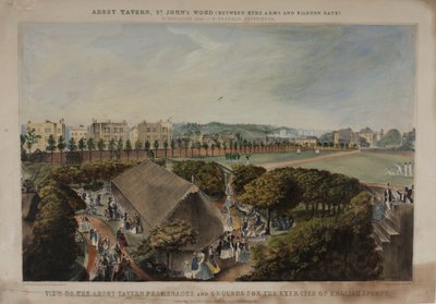 Veduta delle passeggiate e dei giardini dell