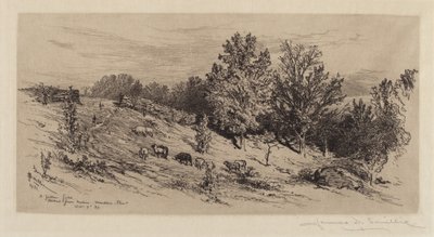 Un Campo Incolto da James David Smillie