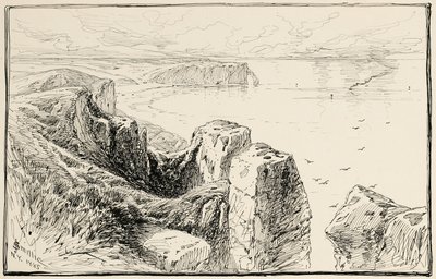 Scogliere della Normandia, vicino a Etretat da James David Smillie