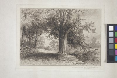 Paesaggio da James David Smillie