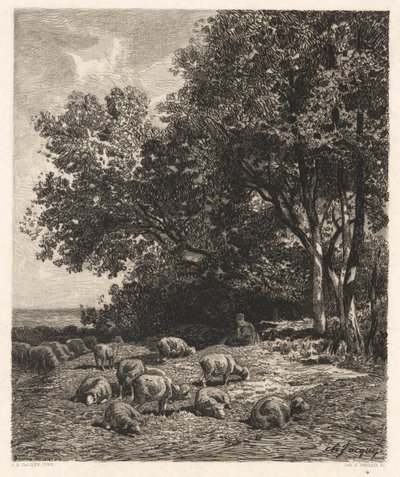 Pecore al pascolo da James David Smillie