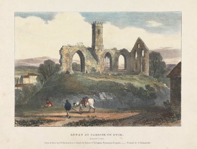 Abbazia a Carrick su Suir da James Duffield Harding