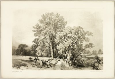 Abele e Quercia, da Il Parco e la Foresta da James Duffield Harding