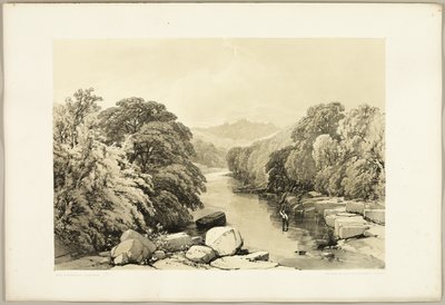 Frassino, sicomoro e quercia, da Il parco e la foresta da James Duffield Harding