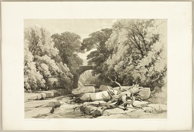 Frassino e ontano sulla Greta, da Il Parco e la Foresta da James Duffield Harding