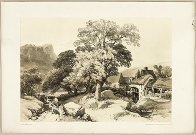 Frassino e Quercia, da Il Parco e la Foresta da James Duffield Harding