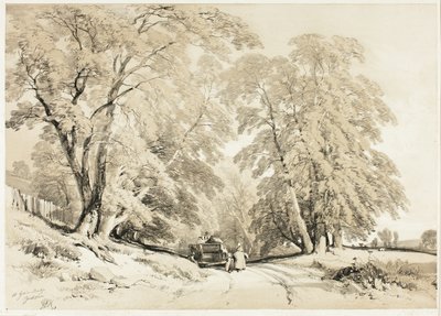 Cenere, da Il parco e la foresta da James Duffield Harding